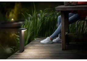 Lampă LED de exterior Philips BUSTAN LED/3,8W/230V 77 cm IP44