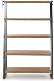 Etajera BOLIVAR REG2, stejar auriu/negru, 100x30x155 cm