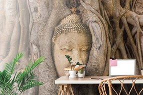 Fototapet Smochinul sacru al lui Buddha