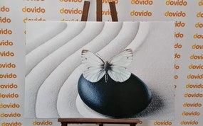 Tablou fluture alb pe piatră neagră