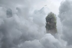 Fototapet. Muntii din Filmul Avatar. Tianzi , China. Art.01479