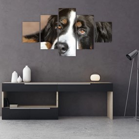 Tablou cu câine (125x70 cm), în 40 de alte dimensiuni noi
