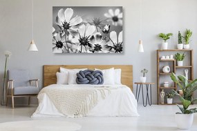 Tablou flori de vară în design alb-negru