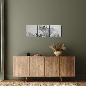 Tablou - Vulpe gri (cu ceas) (90x30 cm)