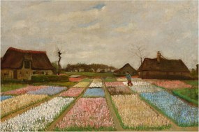 Tablou - Vincent van Gogh, Flower Beds in Holland, reproducere (90x60 cm)