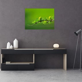 Tablou pe sticlă con verde (70x50 cm)