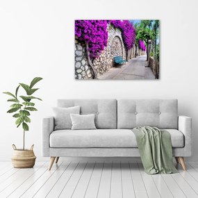 Print pe canvas Străzi fermecătoare