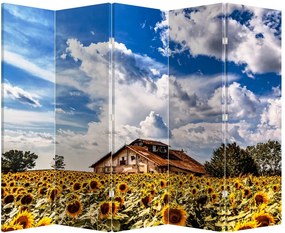 Paravan - Câmp de floarea soarelui (210x170 cm)