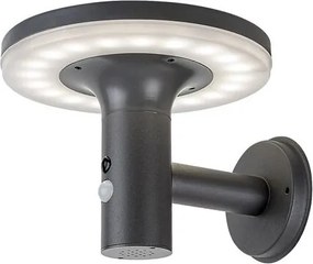 Aplica LED solara cu senzor iluminat exterior IP44 Alaska