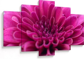 Tablou cu floare (150x105 cm)