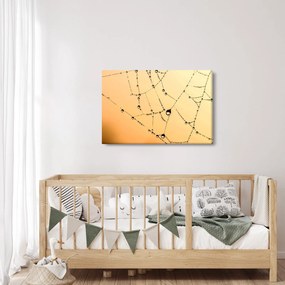 Tablou cu pânză de pâianjen cu rouă (90x60 cm)