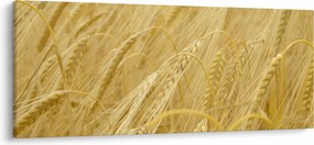 Tablou - Orz (120x50 cm)