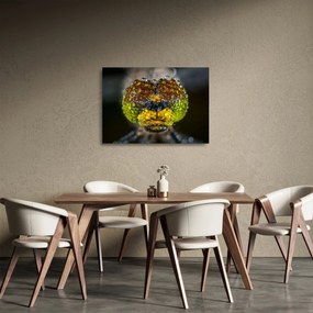 Tablou pe sticlă detailat cu ochii de omidă (70x50 cm)