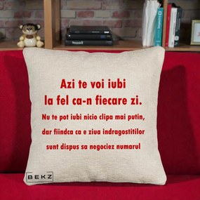 Cadou pentru Iubita - Perna Personalizata Azi Te Voi Iubi, 40x40 cm, Bej Canapea, Husa Detasabila, Perna Inclusa, BEKZ®