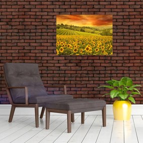 Tablou pe sticlă - Câmp de floarea-soarelui (70x50 cm)