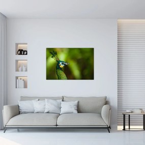 Tablou cu păun (90x60 cm)