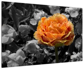 Tablou cu floare (90x60 cm)