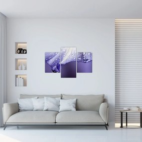 Tablou - Petală cu picături (90x60 cm)