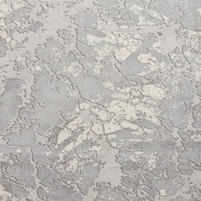 Covor gri deschis/crem 200x290 cm Apollo – Think Rugs