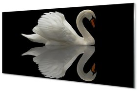 Tablouri acrilice Swan în noapte