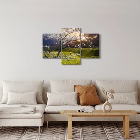 Tablou - Peisaj cu pomul înflorit (90x60 cm)