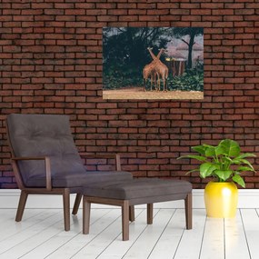 Tablou cu două girafe (70x50 cm)