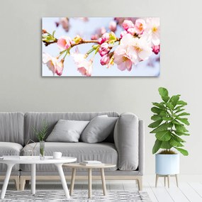 Tablou pe pânză canvas Flori de cireș