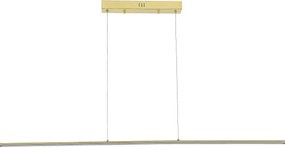 Zuma Line MS903-GD - Lustră LED suspendată pe cablu ESERO LED/20W/230V, auriu