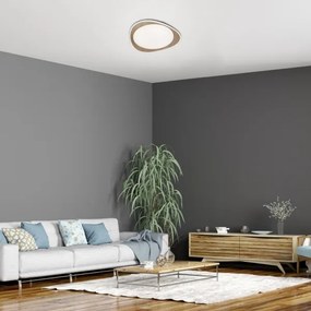 Rabalux 2427 - Plafonieră LED TAMINO LED/24W/230V