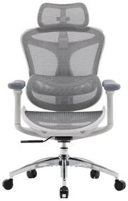 RESIGILAT- Scaun ergonomic SIHOO Doro, cotiere 3D ultra moi, suport lombar dinamic, spătar reglabil pe inaltime in 4 pozitii, tetiera 3D, mecanism inclinare/blocare in 3 pozitii, pivotant, Mesh, Gri