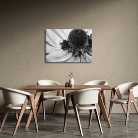 Tablou - Floare în alb-negru (70x50 cm)