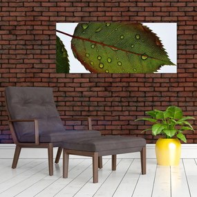 Tablou - Frunze de trandafir (120x50 cm)