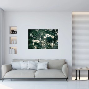 Tablou - Pânză de păianjen (90x60 cm)