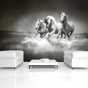 Fototapet - Unicorn (152,5x104 cm)