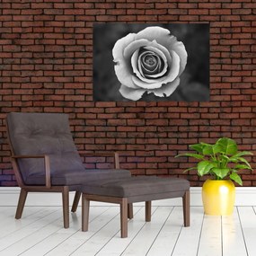 Tablou - Trandafir (90x60 cm)