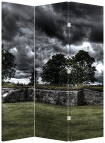 Paravan - Cerul întunecat (126x170 cm)