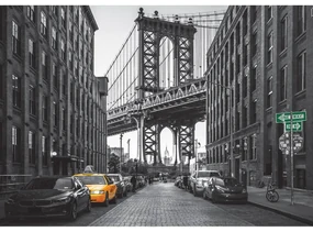 Tapet foto XXL New York 360 x 254 cm, 4 părți