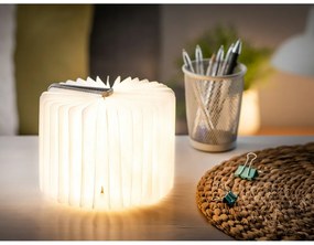 Decorațiune luminoasă gri cu USB Booklight – Gingko