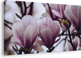 Tablou - Magnolie (90x60 cm)