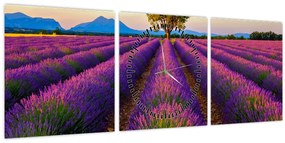 Tablou - Câmp de lavandă (cu ceas) (90x30 cm)