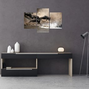 Tablou - Turmă de gnu (90x60 cm)