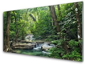 Tablouri acrilice Natural Pădurea Verde Maro