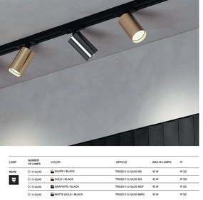 Spot, accesoriu pentru sinele monofazate Unity, Focus S argintiu, negru