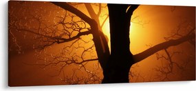 Tablou cu copac în apus de soare (120x50 cm)