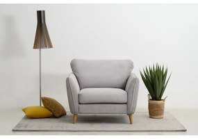 Fotoliu gri deschis cu tapițerie din catifea reiată Paris – Scandic