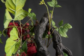 Aranjament floral elegant, design LUX ERACLE SCULPTURE