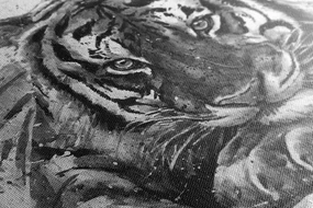 Tablou prădătorul animalelor în design alb-negru