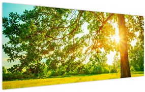 Tablou - Pădurea însorită (120x50 cm)
