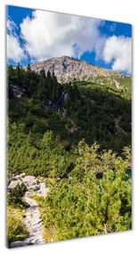 Tablou pe acril Marine ochi Tatry