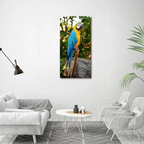 Fotografie imprimată pe sticlă Ara papagal